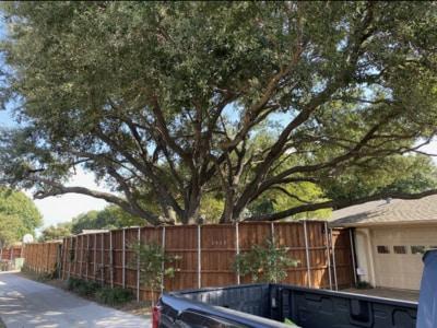 A truck is parked in front of a house with a wooden fence.