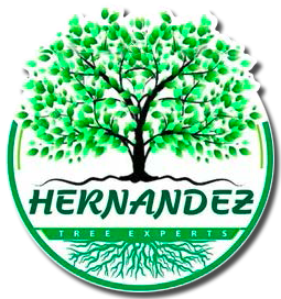 The logo for hernandez tree experts shows a tree with green leaves and roots.