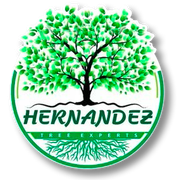 The logo for hernandez tree experts shows a tree with green leaves and roots.