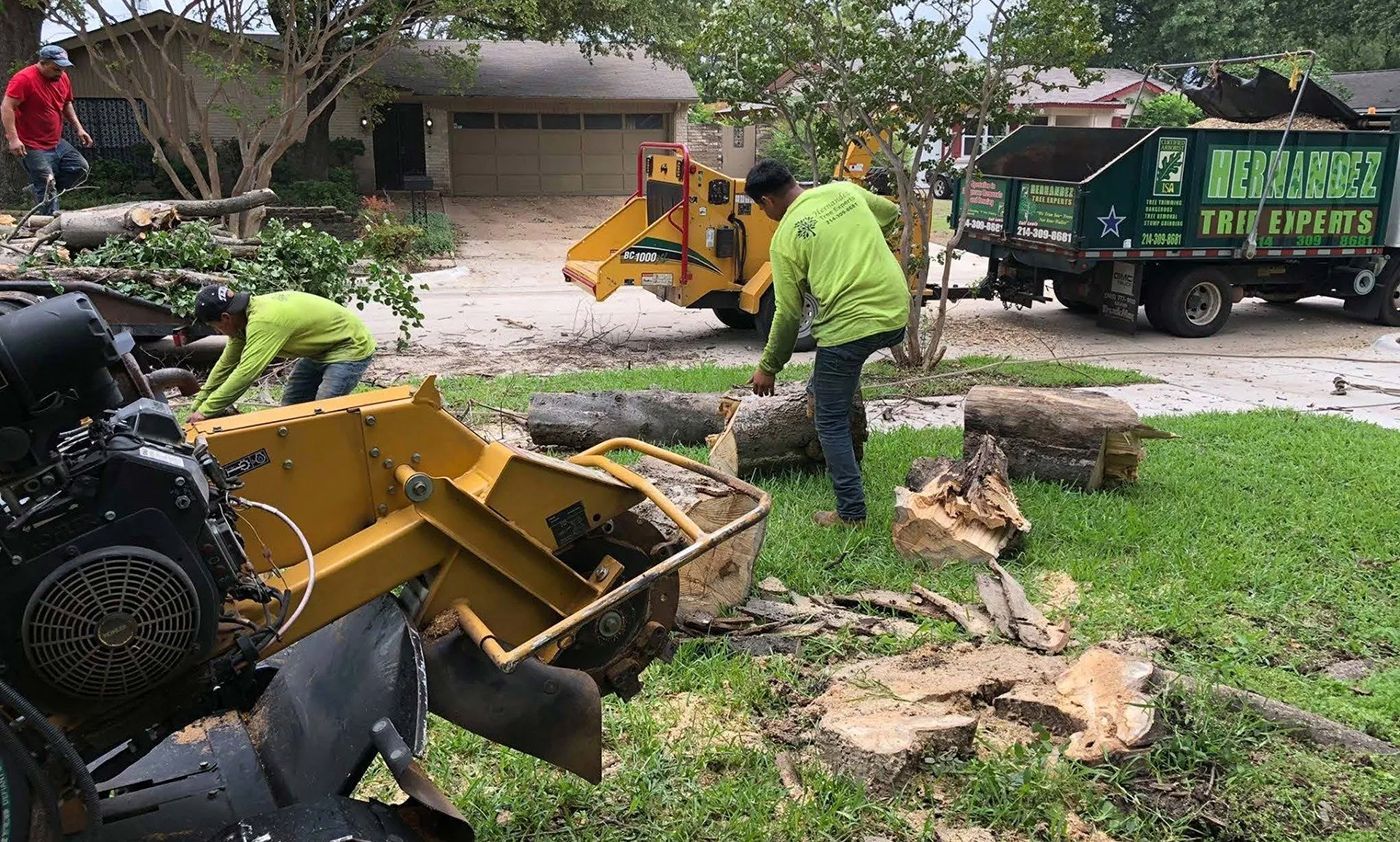 A group of men are working on a tree stump in a yard.