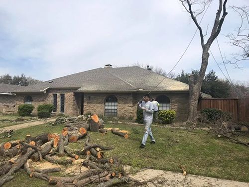 A man is standing in front of a house next to a pile of logs.