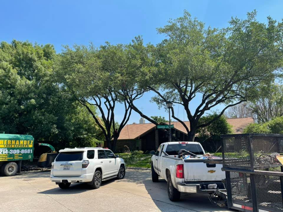 A white SUV and a white pickup truck with a trailer parked in front of mature trees and a house on a sunny day.