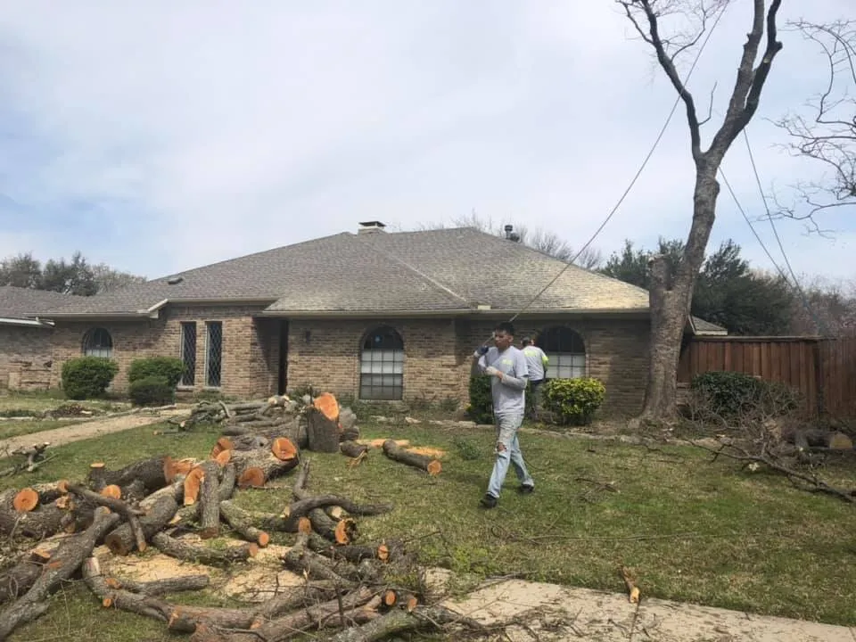 Person stands by piled logs in front of a brick house with a leafless tree and wooden fence.