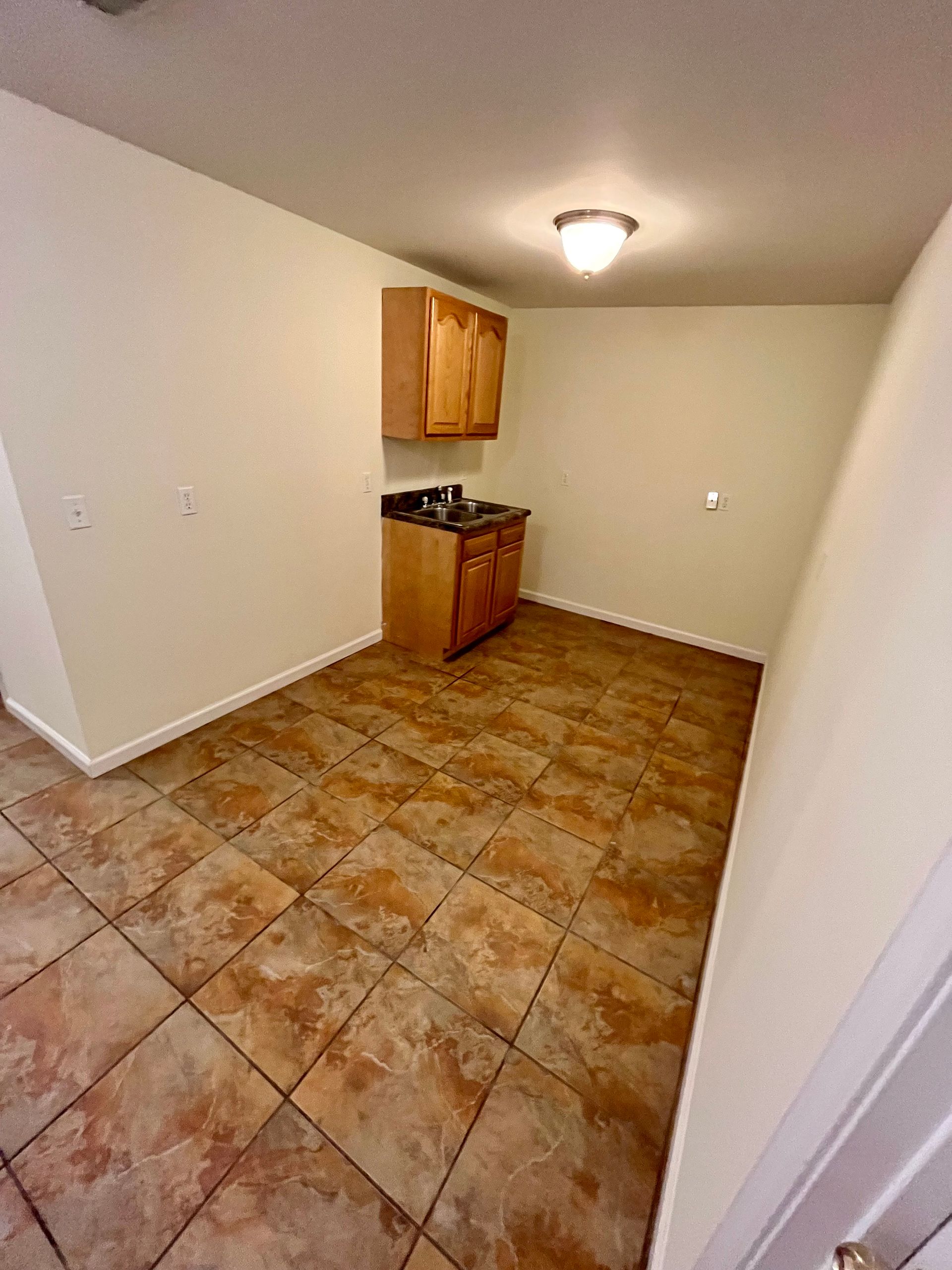 Living room and kitchen