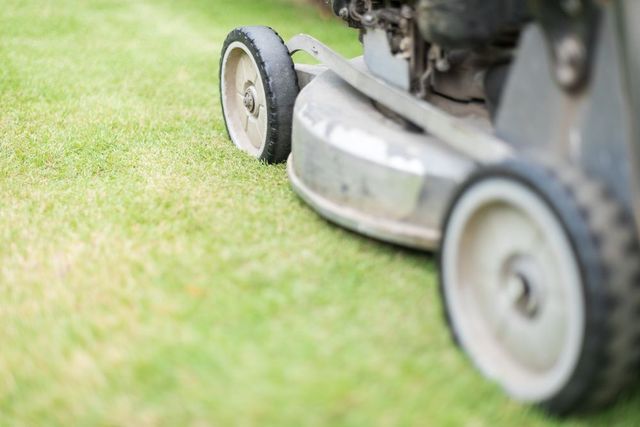 A Lawn Mower is Cutting a Lush Green Lawn — Tuggerah Outdoor Power in Tuggerah, NSW