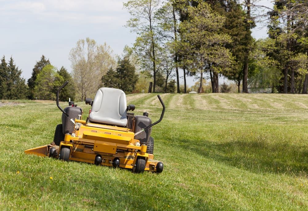 A Yellow Zero-turn Lawn Mower Sits on a Green, Grassy Hill — Tuggerah Outdoor Power in Tuggerah, NSW