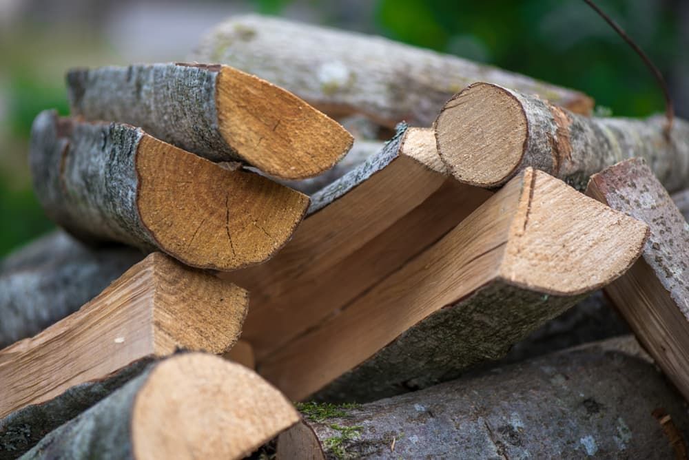 A Pile of Freshly Chopped, Light-coloured Wooden Logs — Tuggerah Outdoor Power in Tuggerah, NSW