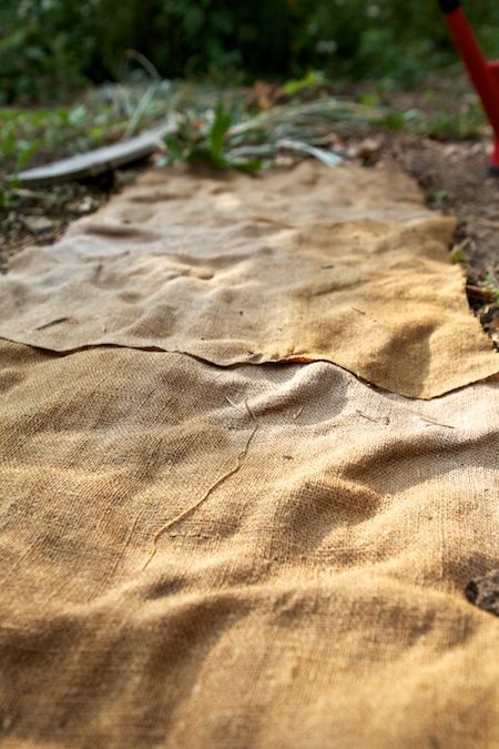 Burlap sheets in a Garden