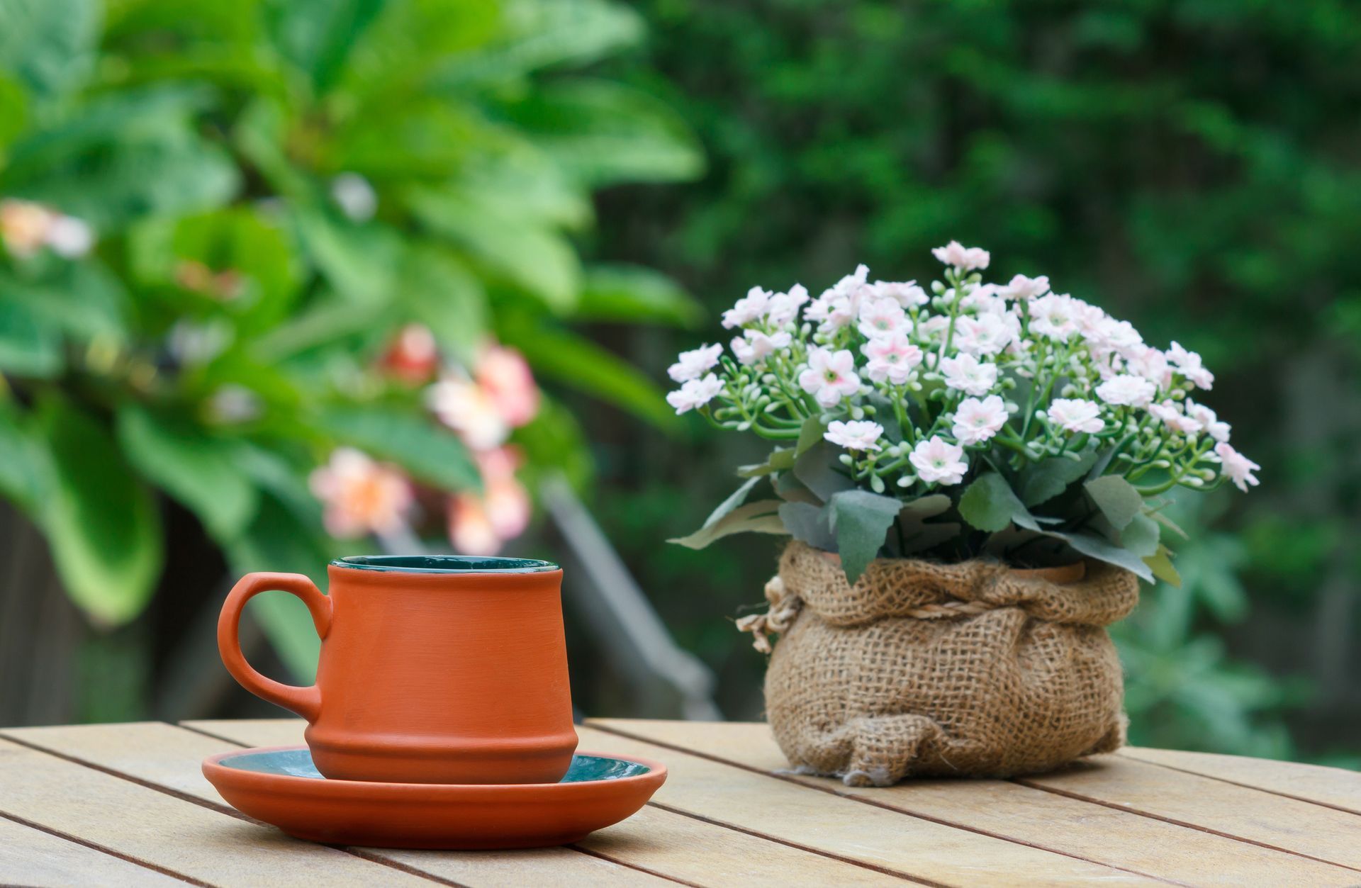 Burlap Coffee Bag used as a planter