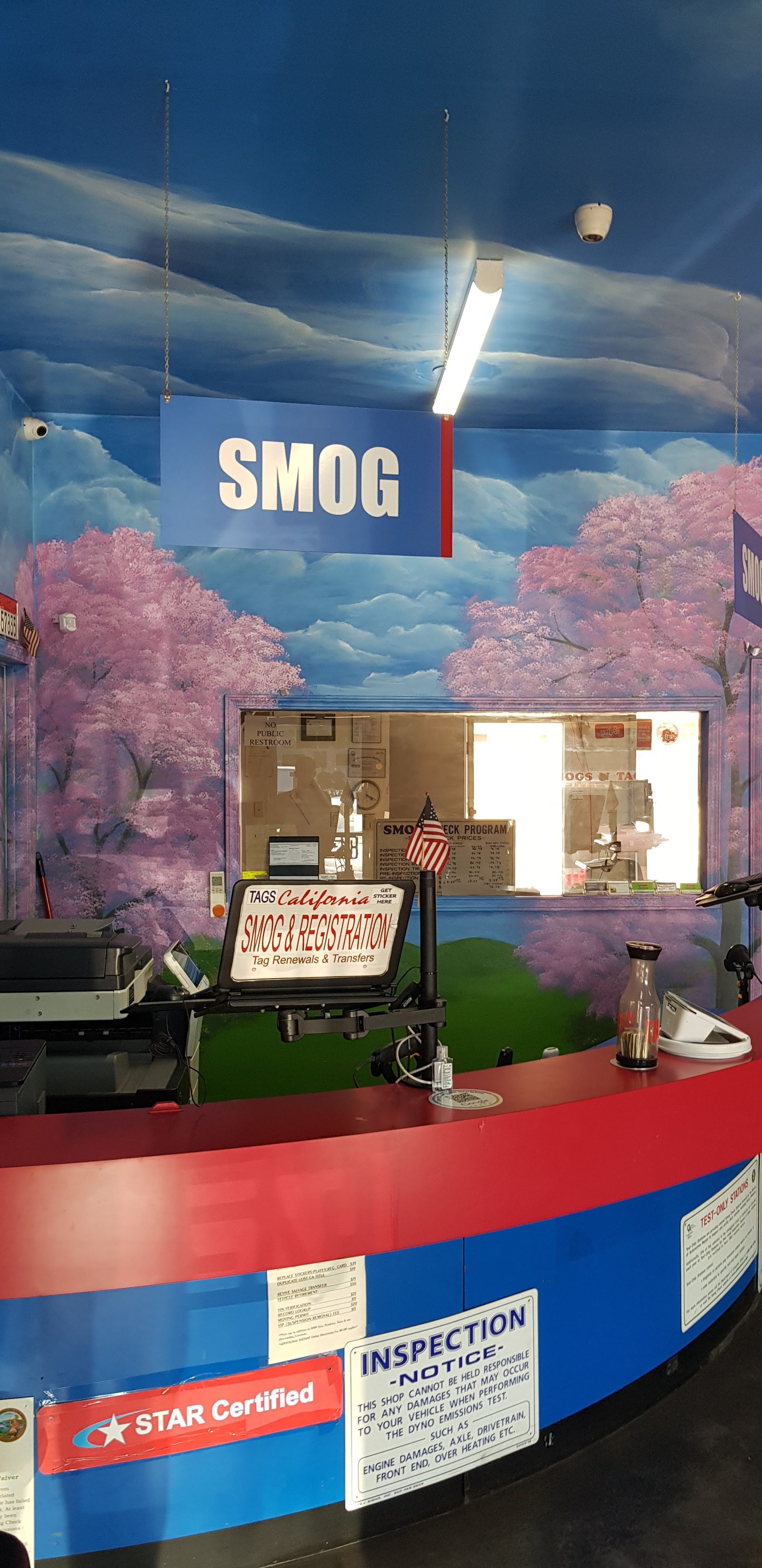 Indoor kiosk with a large “SMOG” sign, colorful counter, and a small plant display against a sky mural.