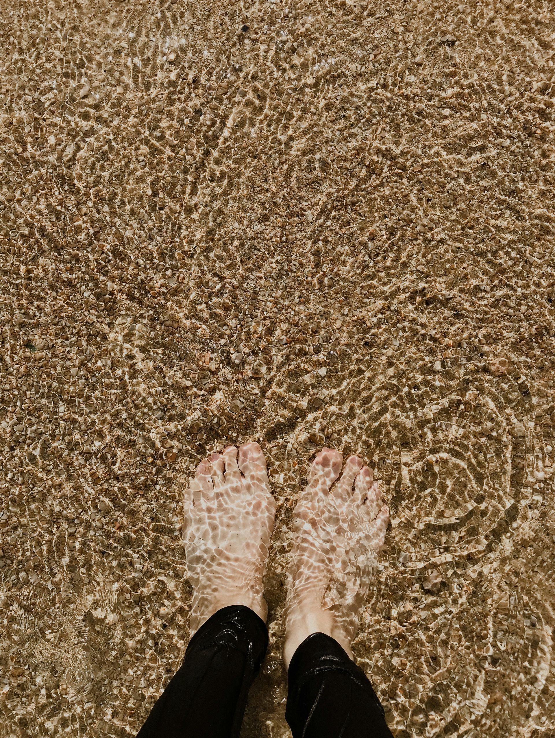 Emerging from the pines, a new you
