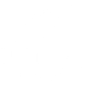 Next Level Haul Away logo