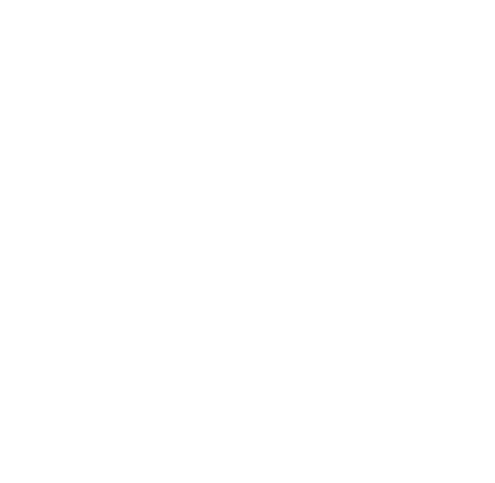 Next Level Haul Away logo
