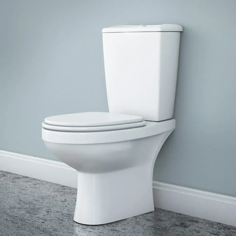 A white toilet is sitting in a bathroom next to a wall.