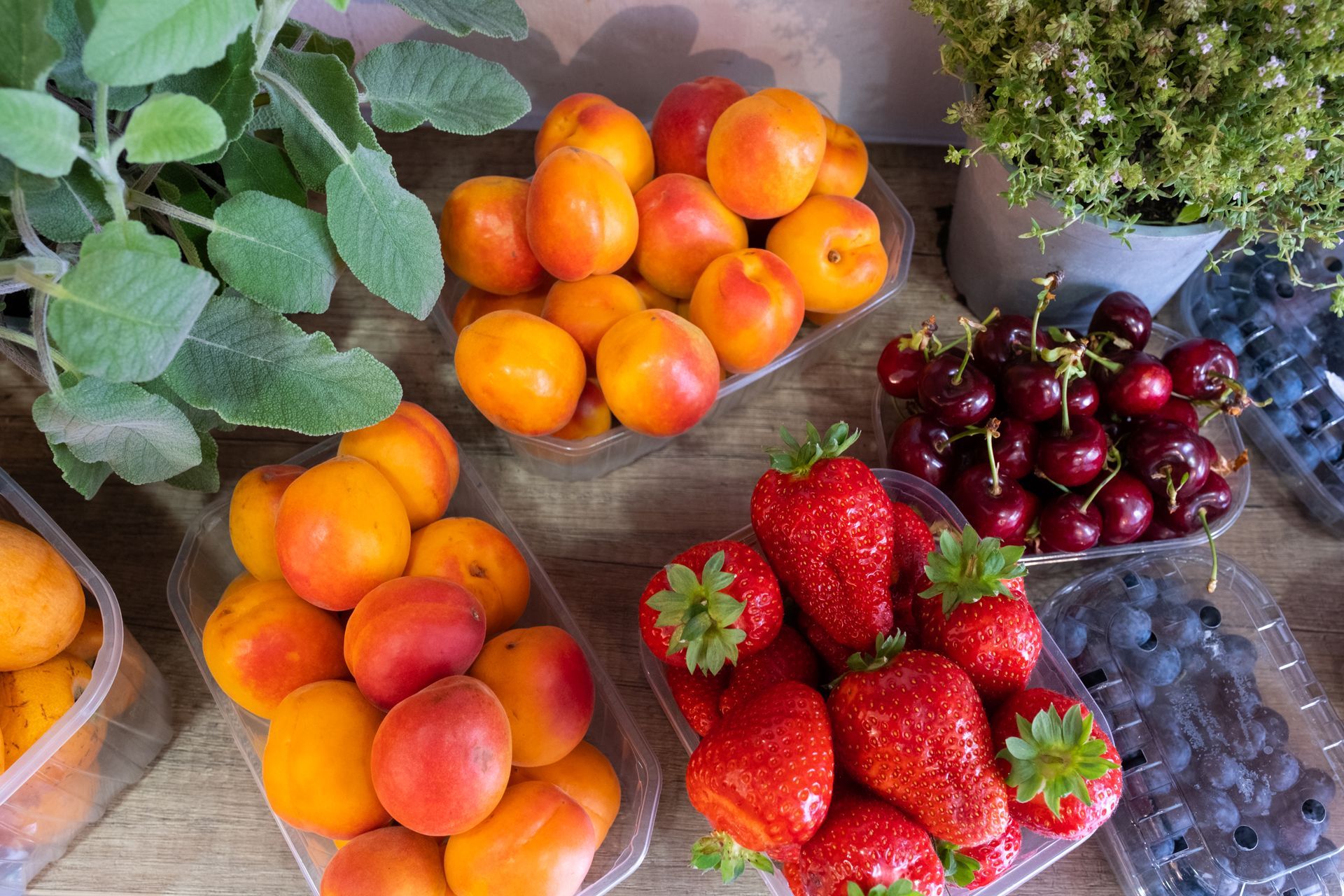 fragole
