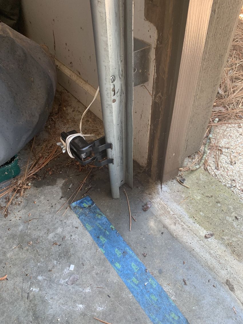 Small black-and-white bird trapped at the base of a metal gate by a wall and blue floor marking.