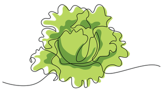 Home Grown Springfield Programs