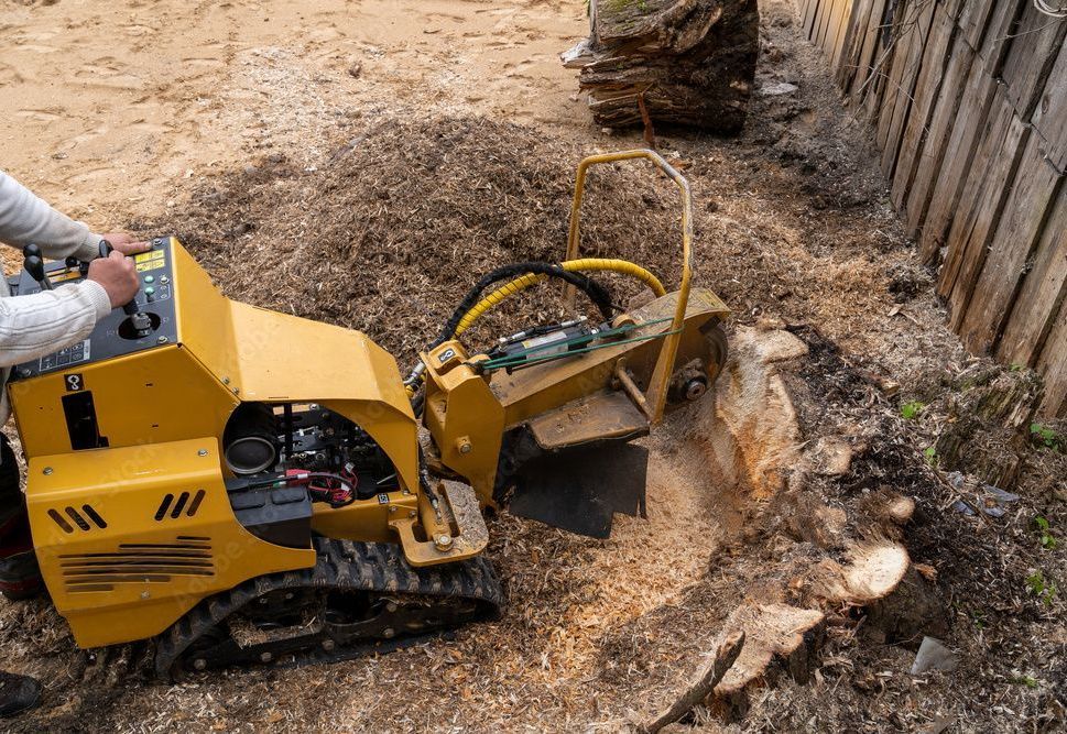 stump grinding service in belleville, il