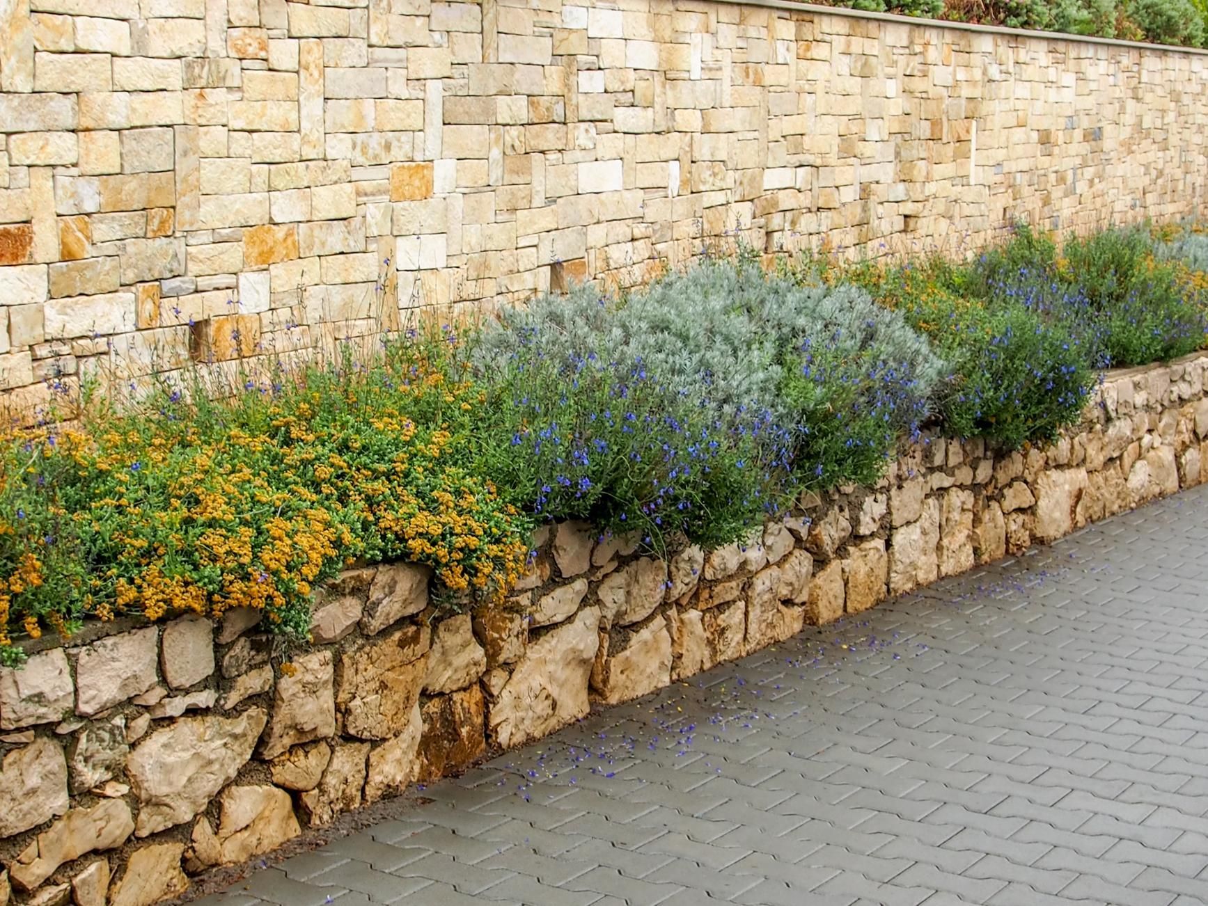 A stone wall with flowers growing on it.