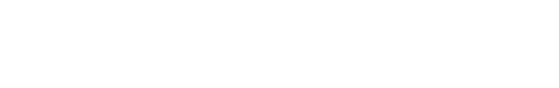 Thin pale gray horizontal bar centered on a white background