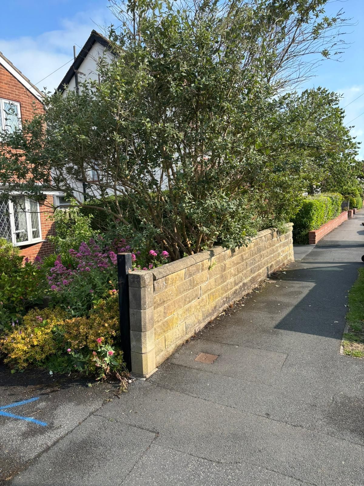 Brick garden wall beside a leafy front yard and sidewalk on a sunny residential street