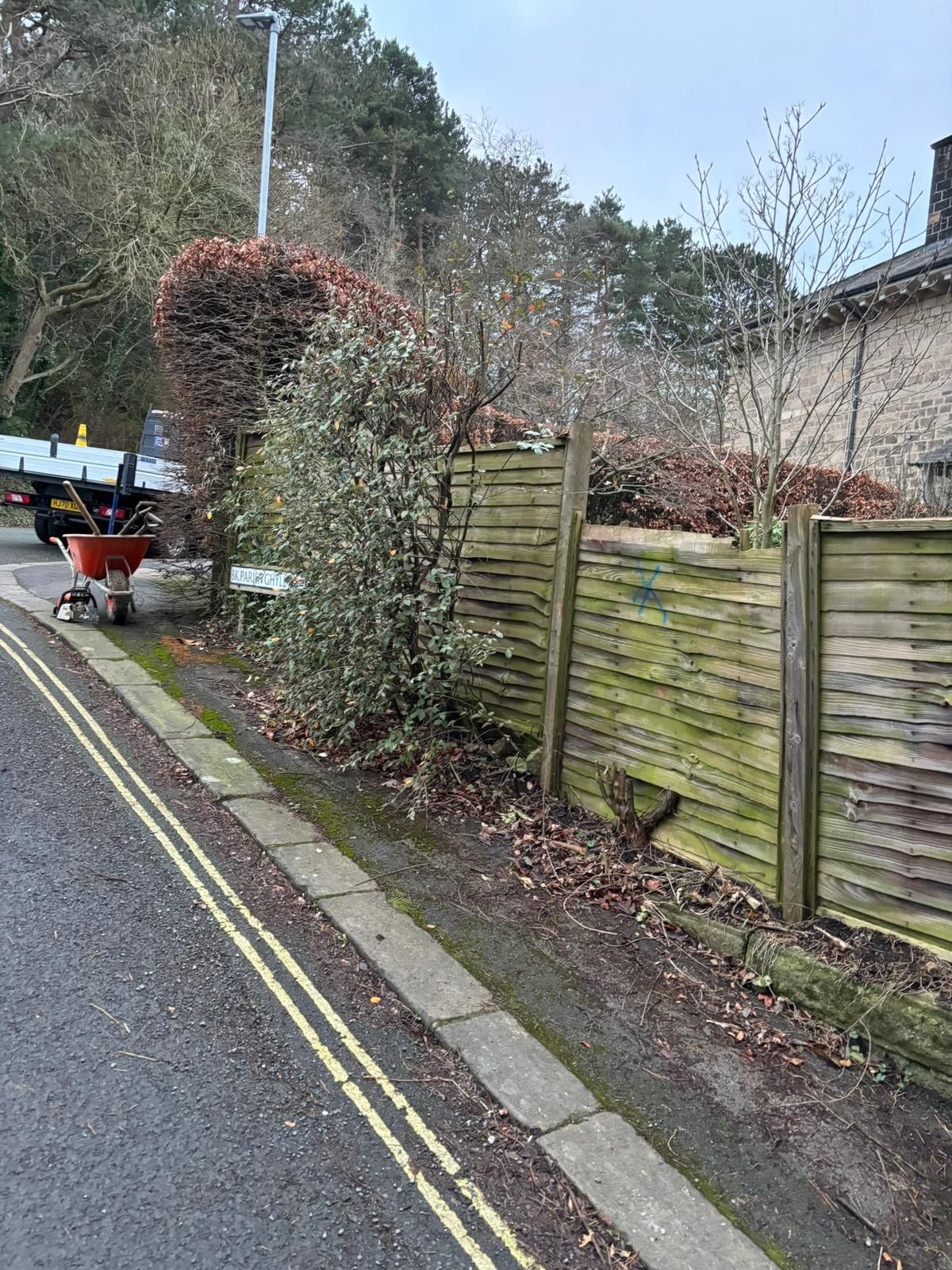 Residential street beside a wooden fence with ivy, a hedge, and double yellow road lines.