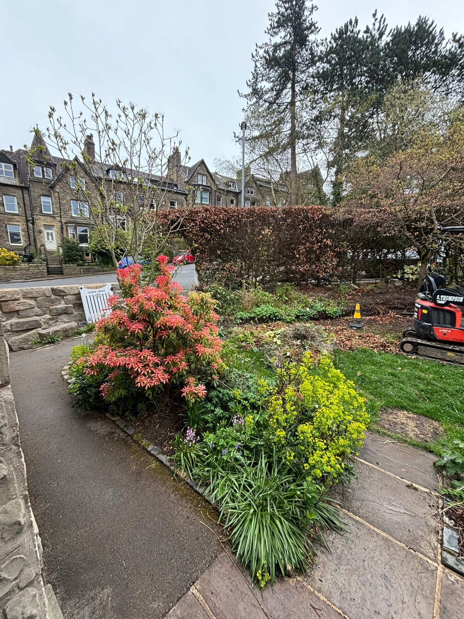 Garden path with colorful flowering shrubs beside a hedge and apartment buildings in the background