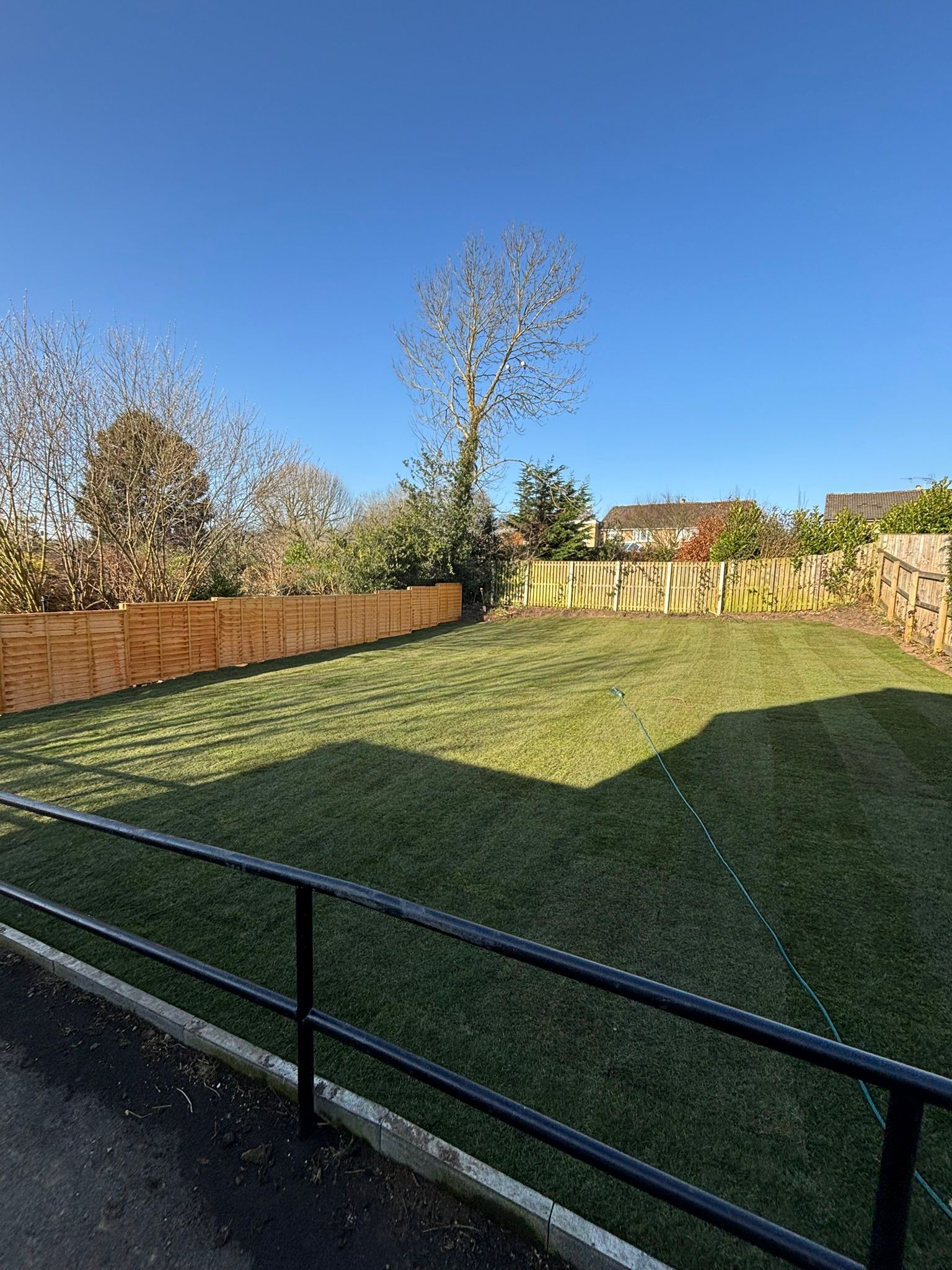 Backyard lawn with black fence, trees, and blue sky in bright sunlight