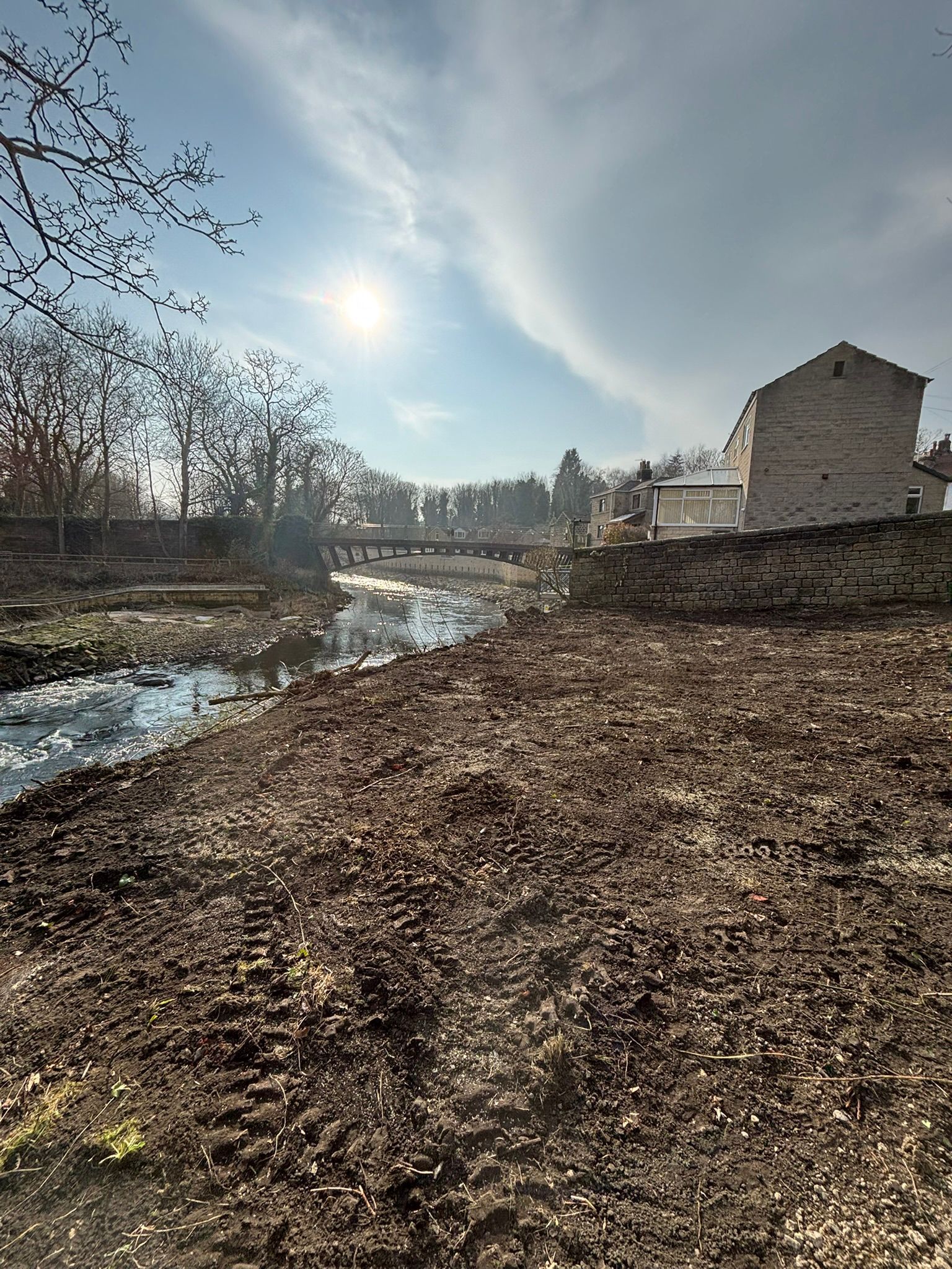 Sunny riverbank with dry leaves, a small stream, bare trees, and a white building under a bright sky