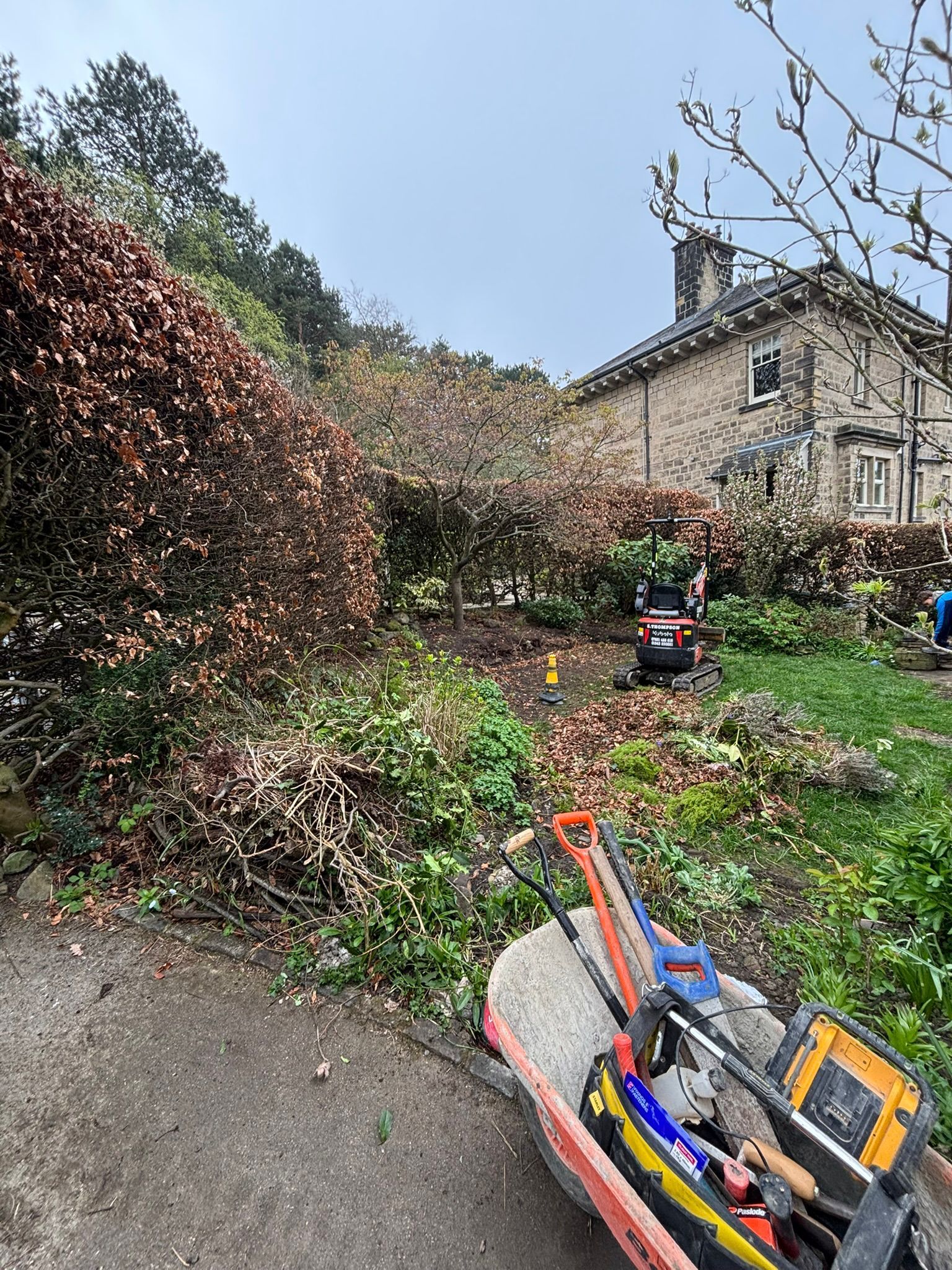 Garden overgrown with tall hedges beside a stone house, with a wheelbarrow and tools in the foreground.