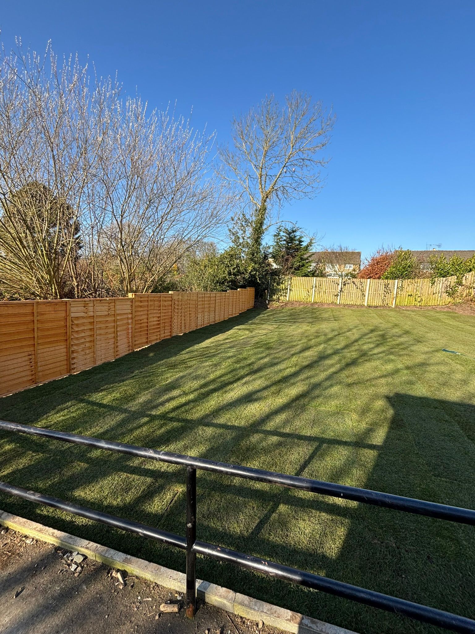 Backyard lawn with wooden fence, bare trees, and long shadows in bright sunlight