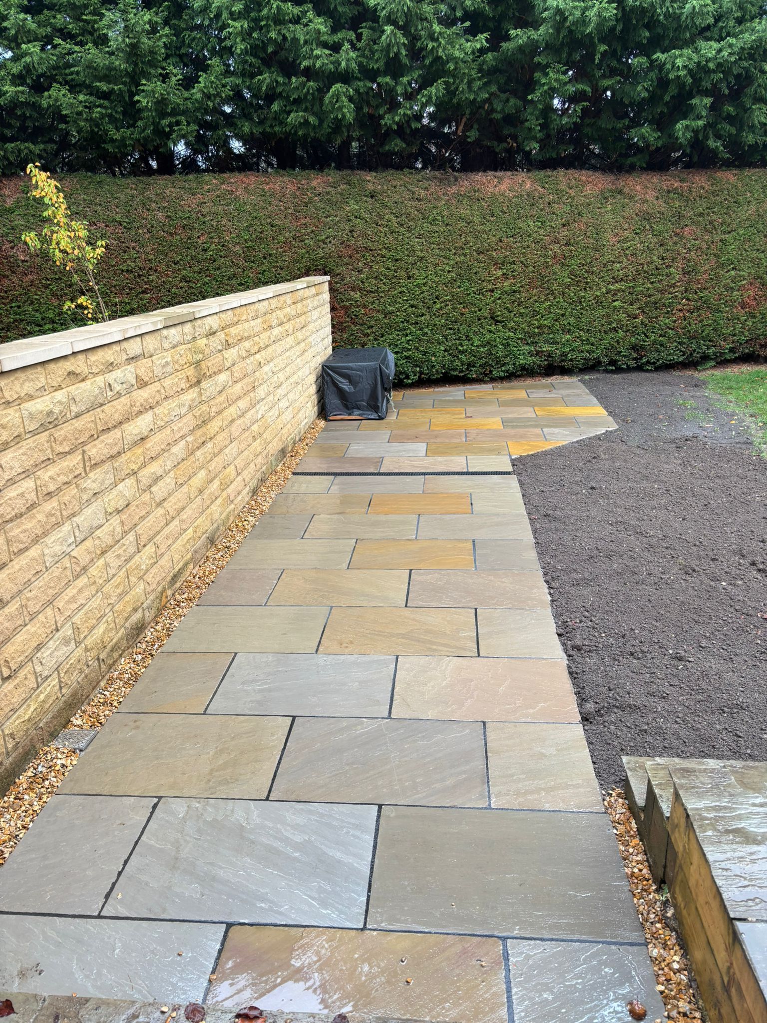Stone patio path beside a brick wall and hedge, leading to a small gray cat near the end.