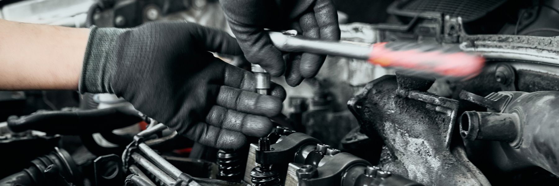 Blog Image | Auto Science