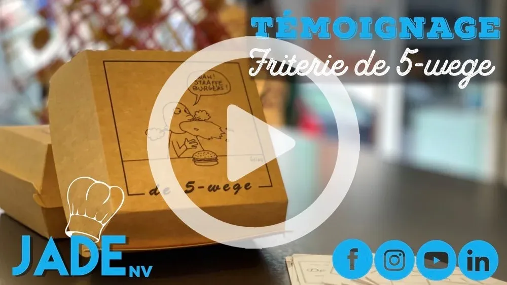 Friterie de vijf wege inducs plancha a induction