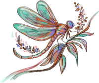 Dragonfly Care Home, Langton Matravers, Swanage | Logo