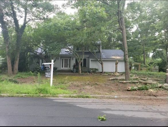 Overgrown home in Suffolk County NY