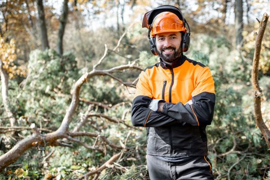 Photo of an arborist in Suffolk County NY