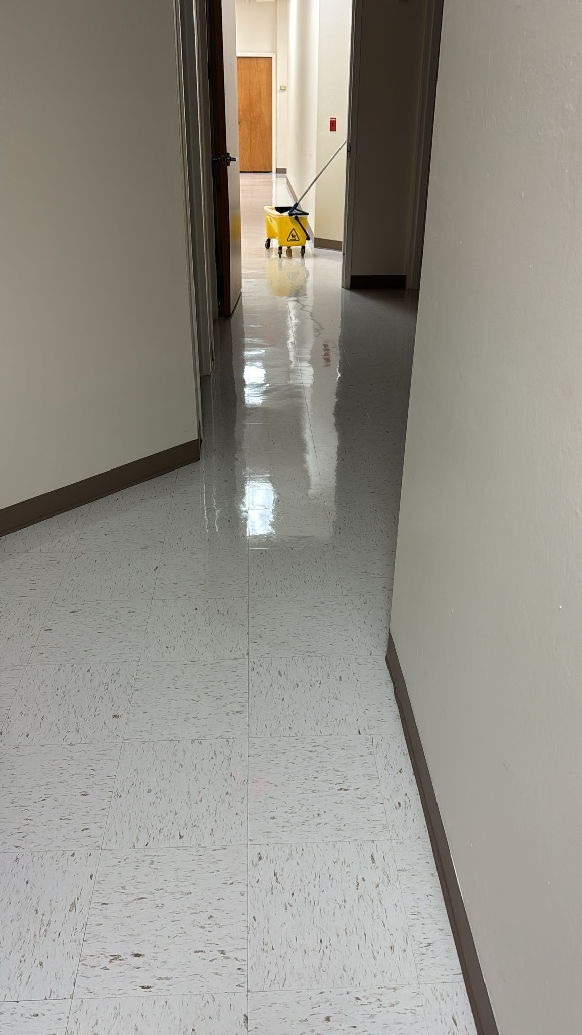A person is cleaning a tile floor with a brush.