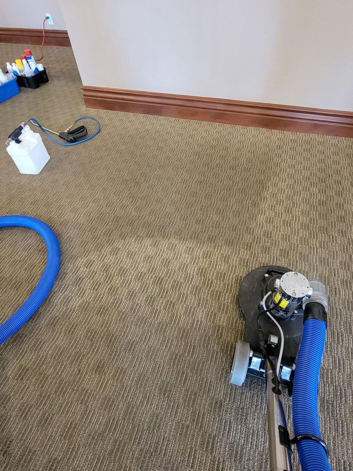 A vacuum cleaner is being used to clean a carpet.