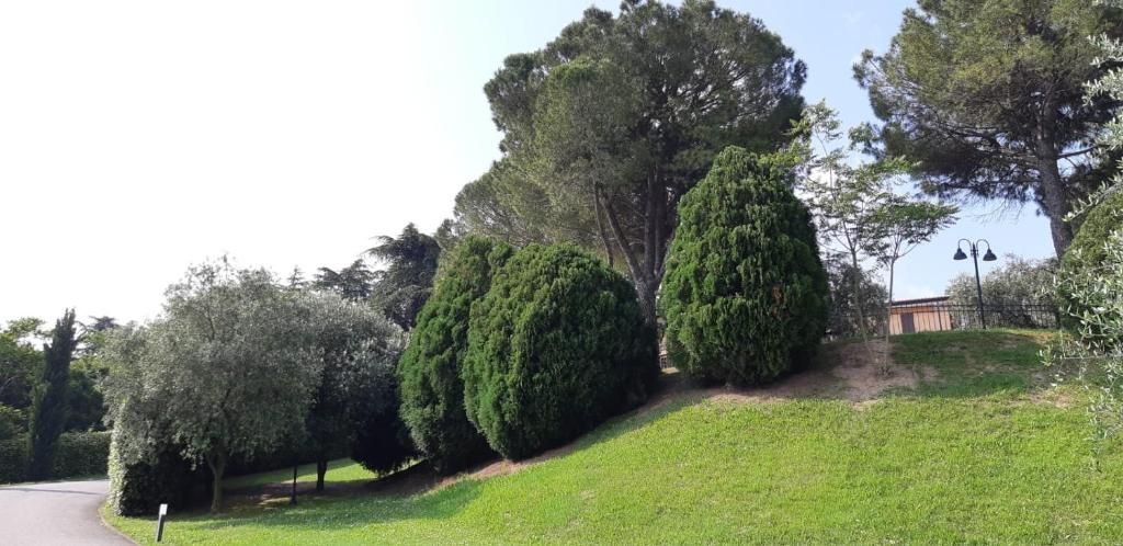 Il parco