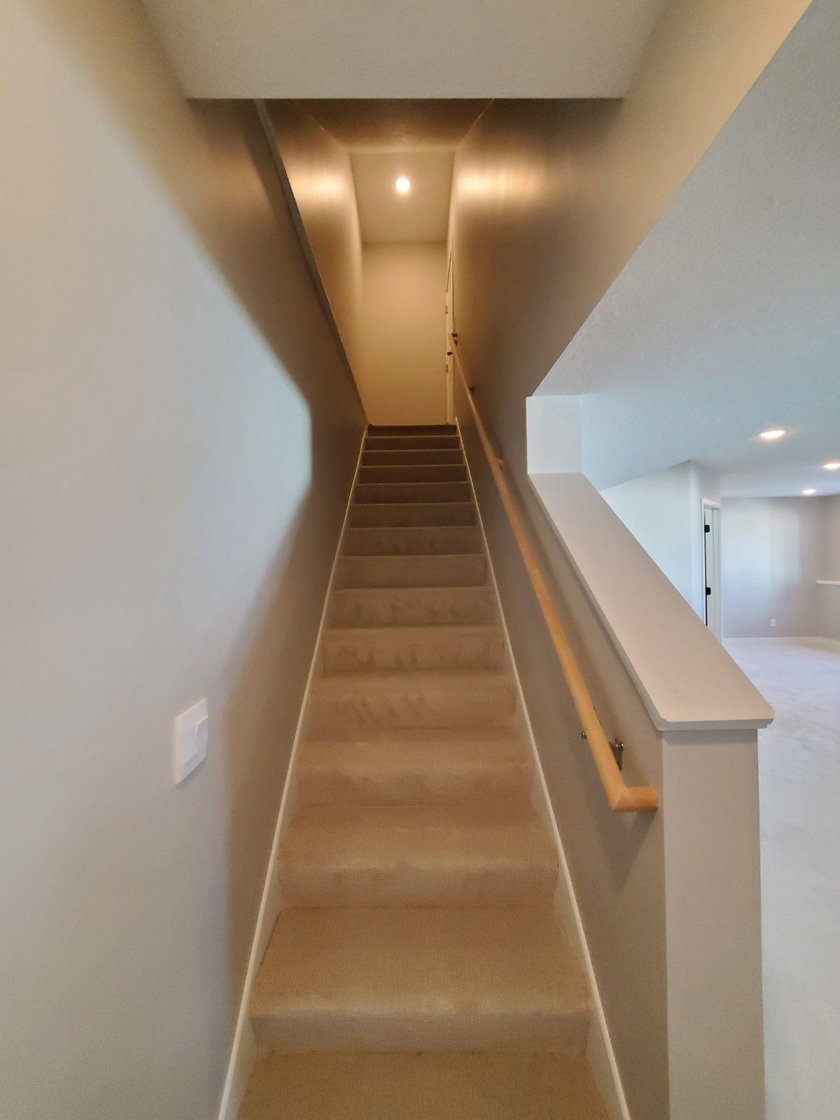 Steep carpeted staircase in a narrow hallway with beige walls and white railing.
