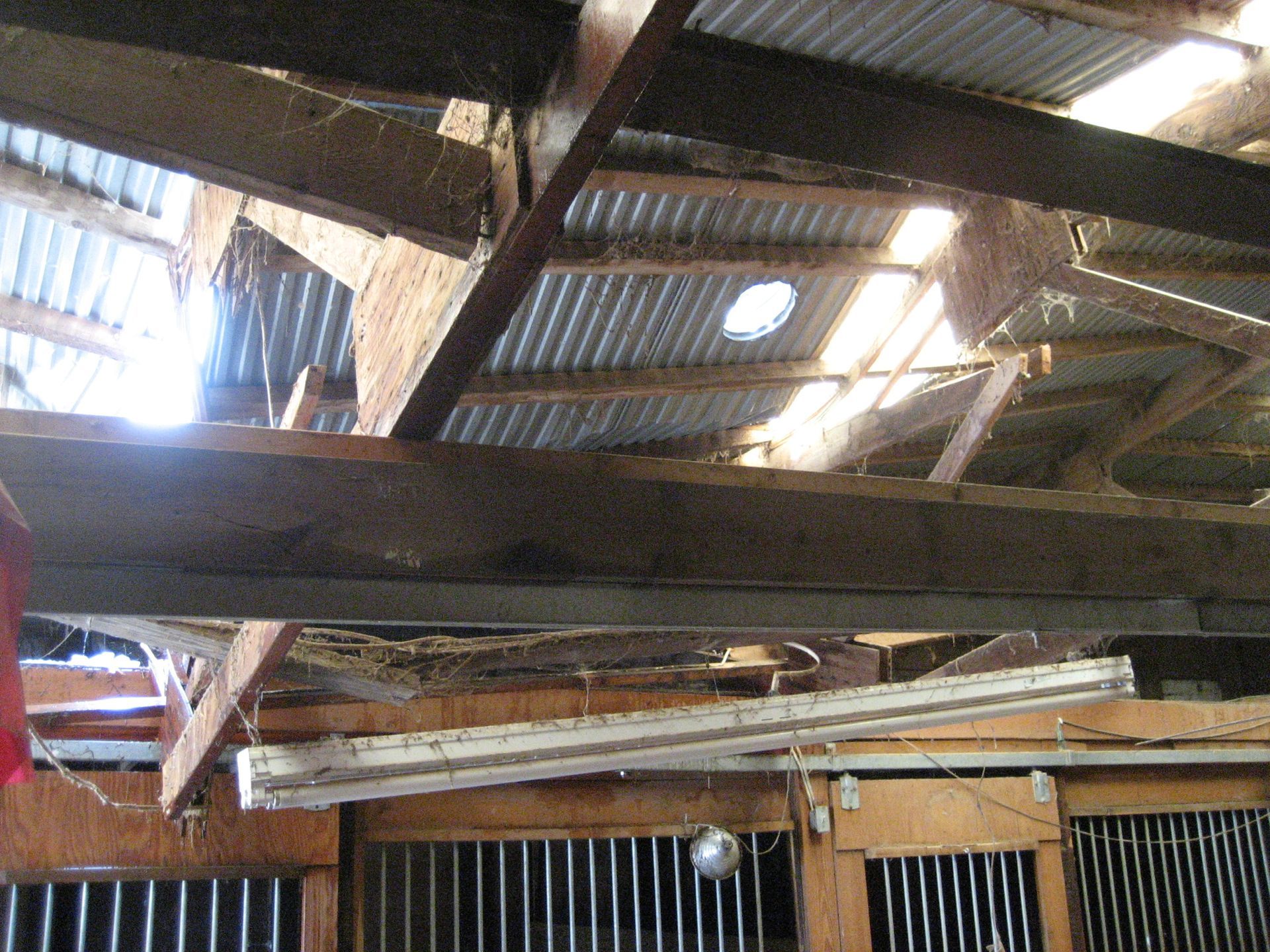 Collapsed corrugated metal roof inside a damaged building, with exposed beams and daylight showing through.