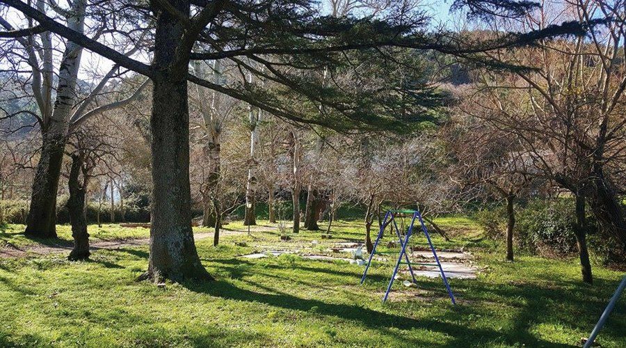 bosco vicino agriturismo
