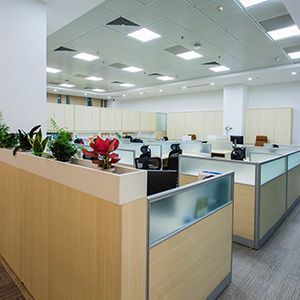 Modern office cubicles with glass partitions and bright ceiling lights, with a small plant on a desk divider