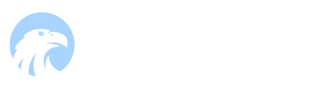 Logo of an eagle's head in white inside a light blue circle.