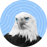 Bald eagle with blue eyes against a light blue background with a fingerprint design.