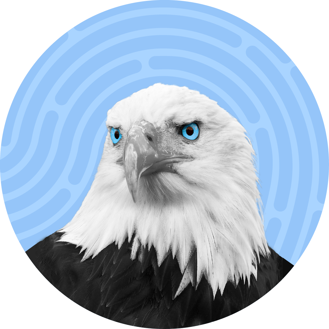 Bald eagle portrait with bright blue eyes, set in a light blue circle with a white swirl pattern background.