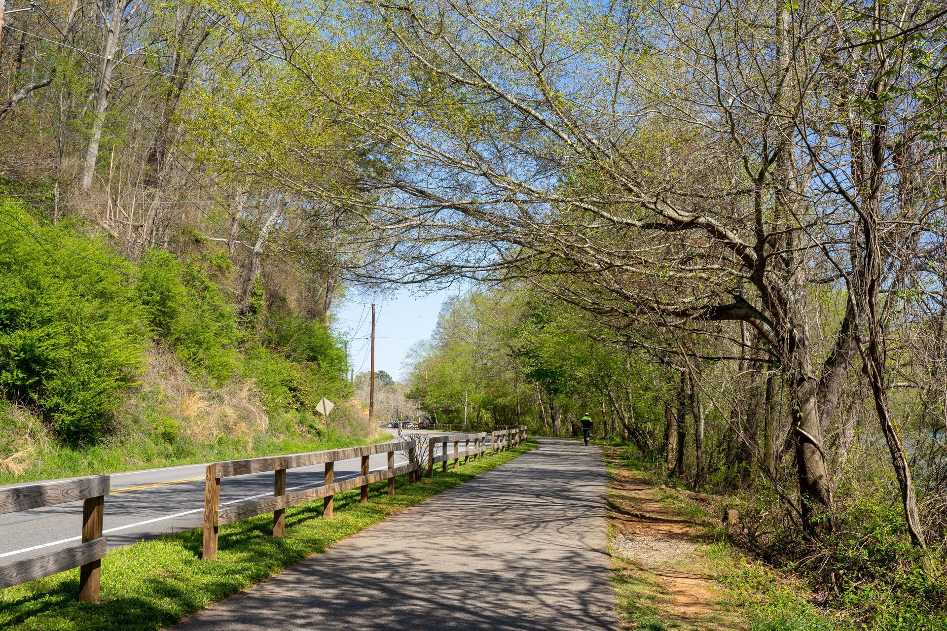 Tree-lined paved path beside road on a sunny day