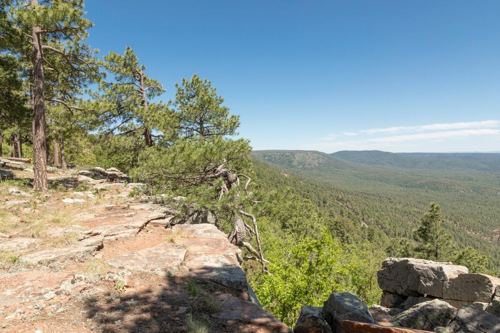 Rocky overlook with pine trees and a wide green valley under a clear blue sky. Landscape of the Mogollon Rim, Arizona.