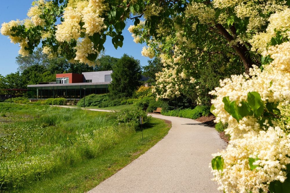 Path along Meadow Lake at The Morton Arboretum in Lisle, Illinois, USA.